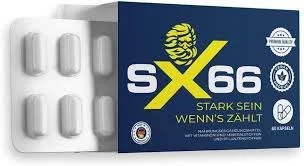 SX66